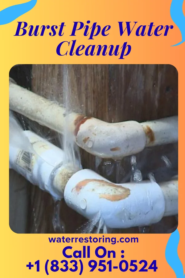 Burst Pipe Water Cleanup in Bladenboro, NC