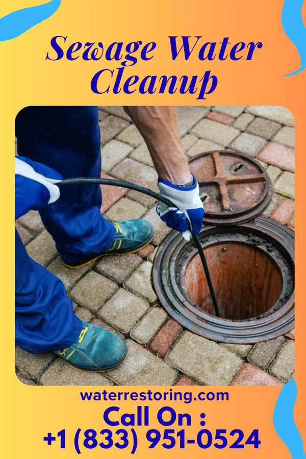 Sewage Water Cleanup in Bladenboro, NC