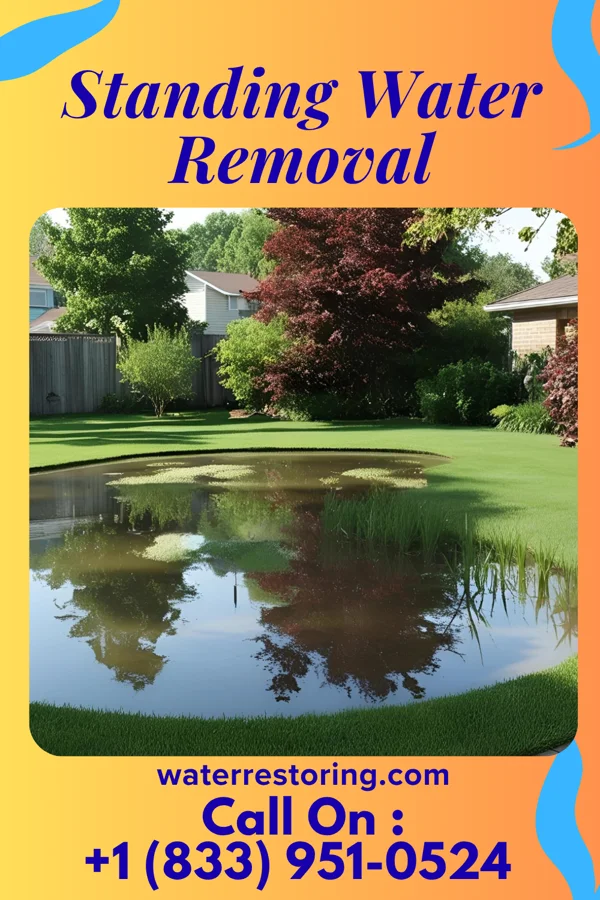 Standing Water Removal in Bladenboro, NC